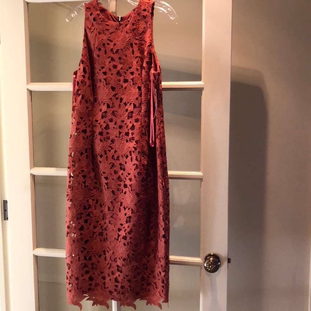 NWT Antonio Melani mauve dress size 12
